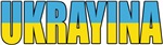 Ukraine football shirt d123